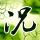 超凡蜘蛛侠